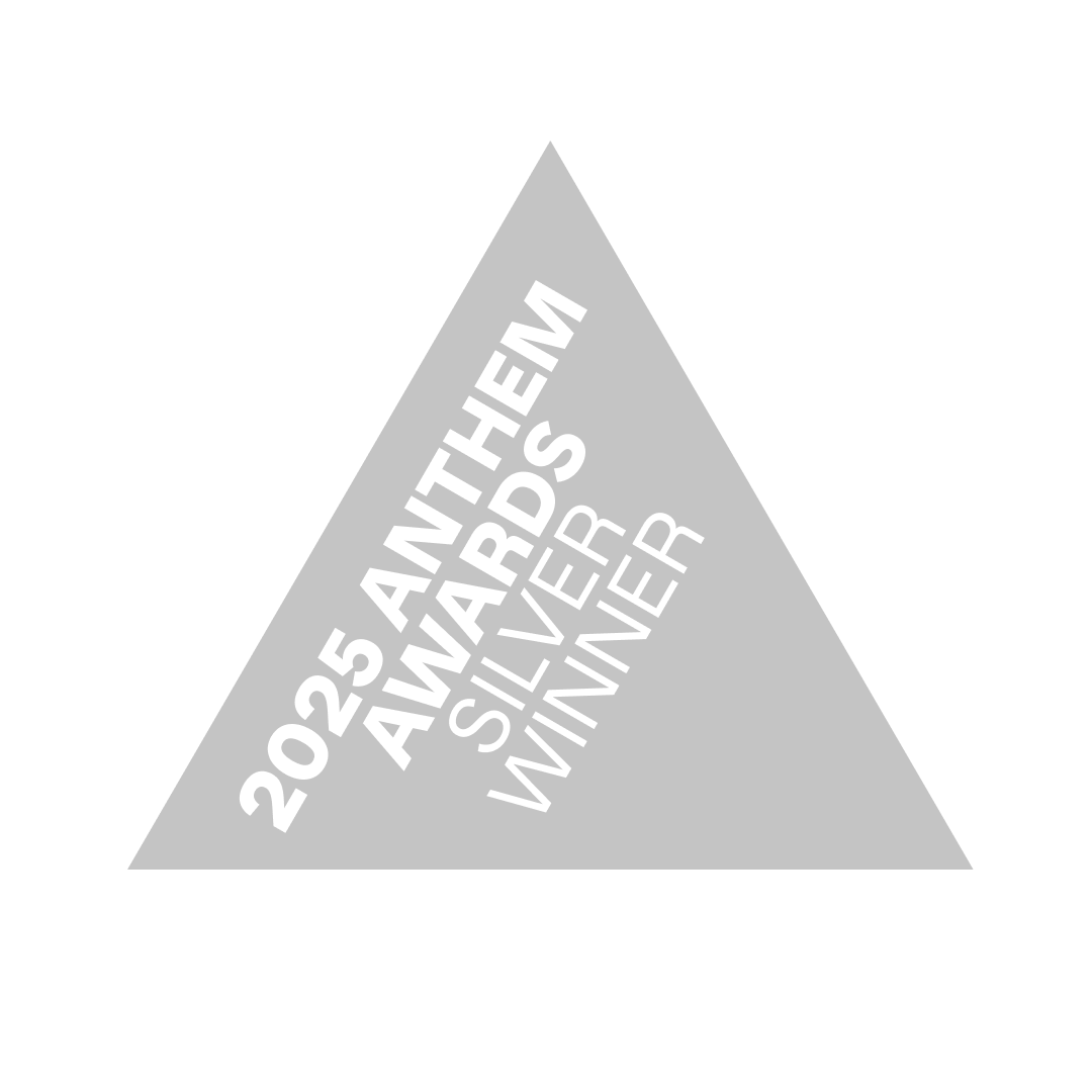 2025 Anthem Awards Silver Winner